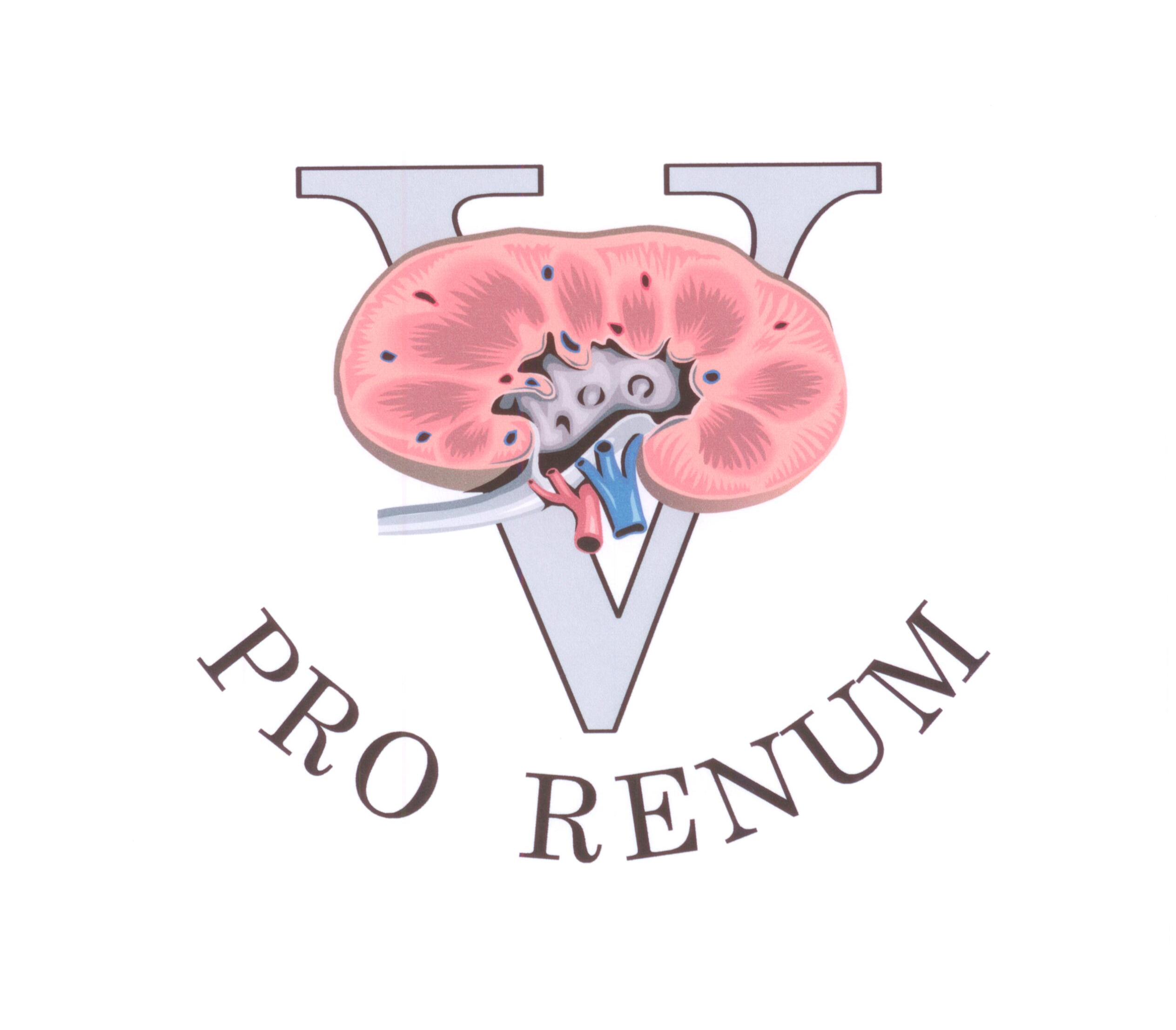 Logo-Pro-Renum-n.png